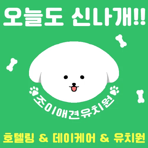 조이애견유치원 대표 이미지