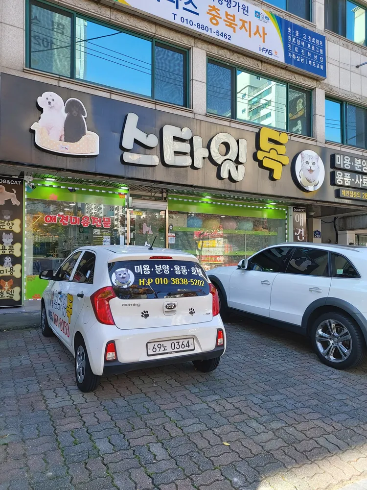 스타일독 대표 이미지