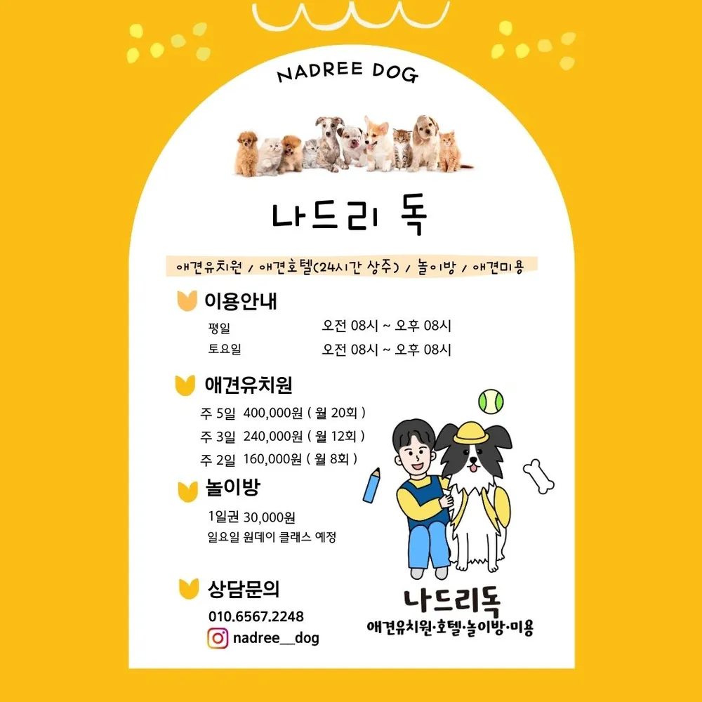 나드리독 대표 이미지