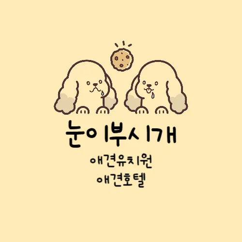 눈이부시개 애견유치원&호텔 대표 이미지