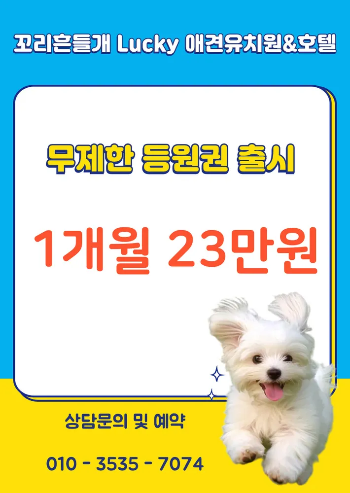 청주 애견유치원 꼬리흔들개Lucky 대표 이미지