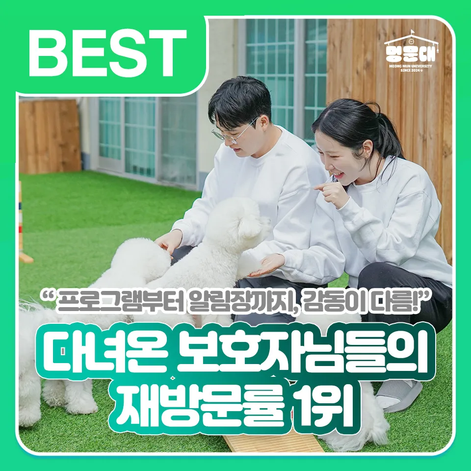 멍문대 애견유치원&애견호텔 대표 이미지