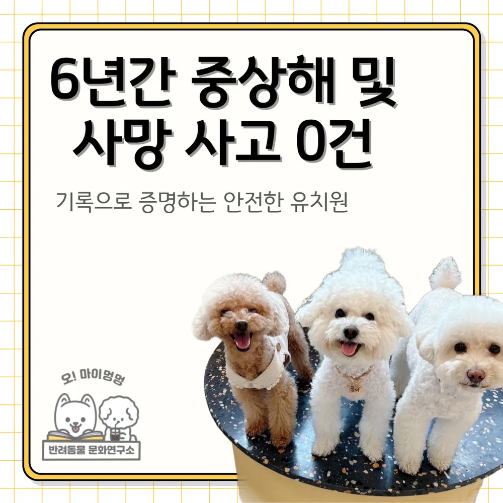 오마이멍멍 강아지유치원&호텔 대표 이미지
