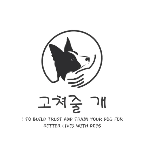 고쳐줄개 애견훈련소 대표 이미지