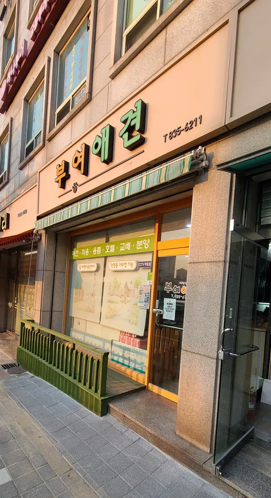 부여애견 대표 이미지