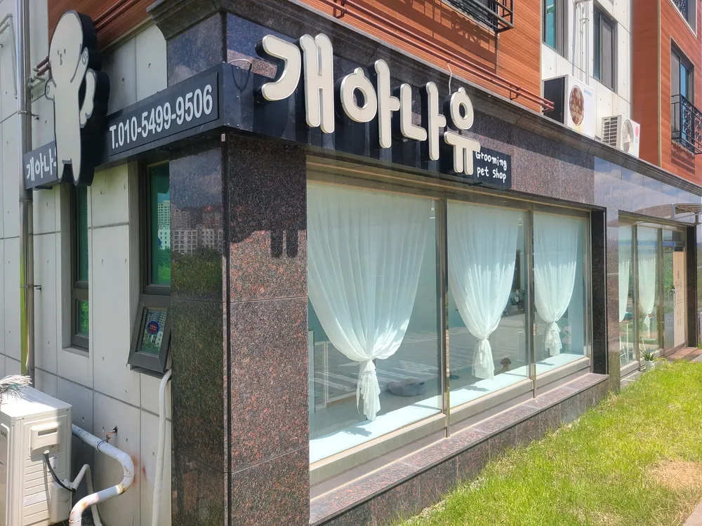 개아나유 대표 이미지
