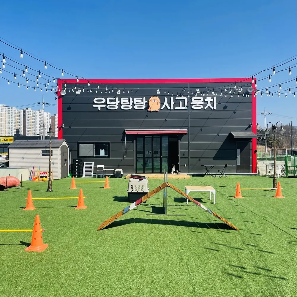 우당탕탕 사고뭉치 애견 유치원 대표 이미지