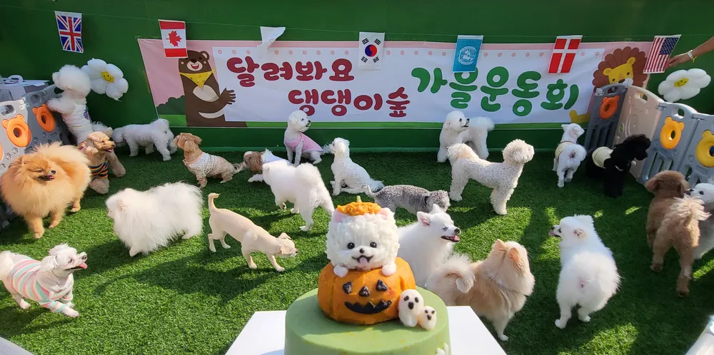 달려봐요댕댕이숲 애견유치원호텔 대표 이미지
