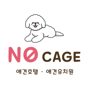 노케이지 애견호텔 애견유치원 대표 이미지