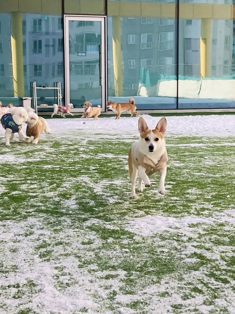 프찌 천안점 대표 이미지