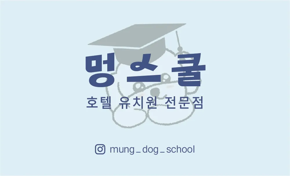 전주애견유치원 멍스쿨 대표 이미지