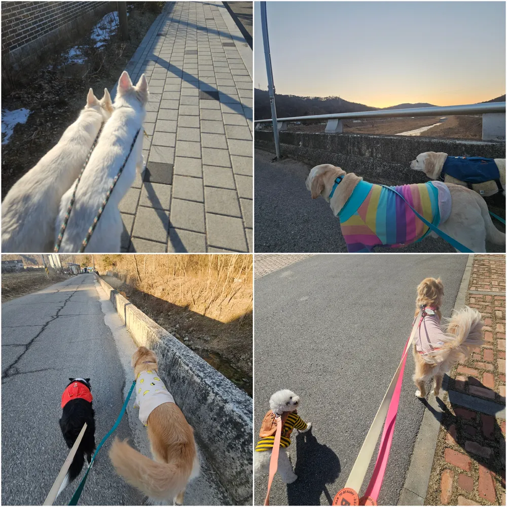 랑랑이네하숙 대표 이미지