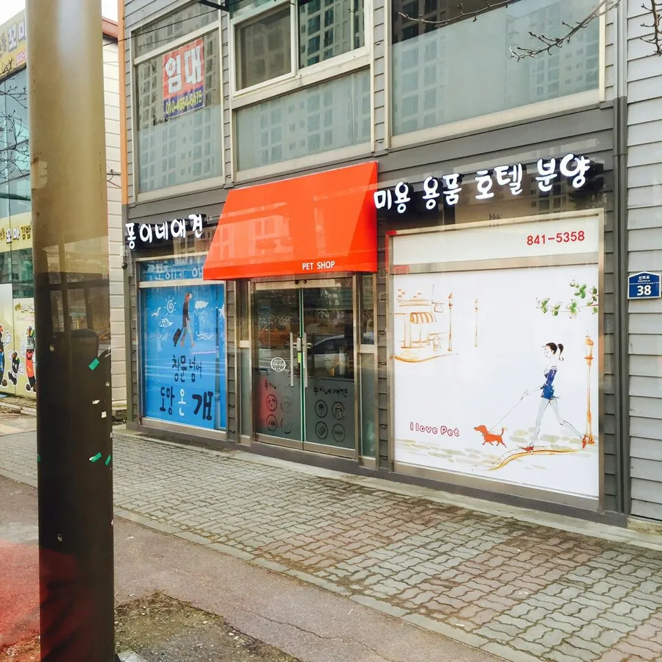 퐁이네애견 대표 이미지