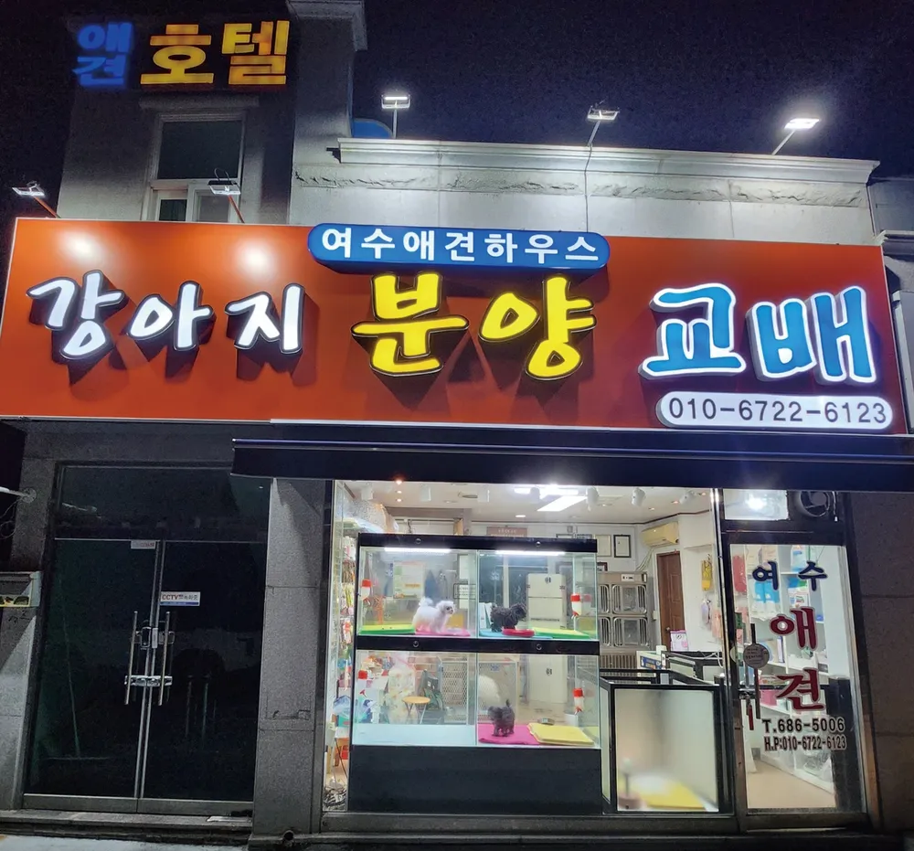 여수애견하우스 대표 이미지