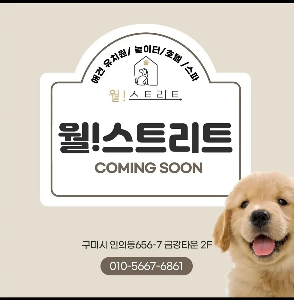 애견호텔 월스트리트 애견유치원 대표 이미지