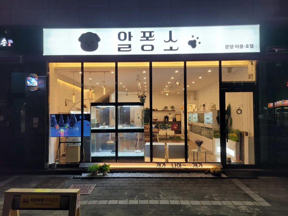 알퐁소 대표 이미지