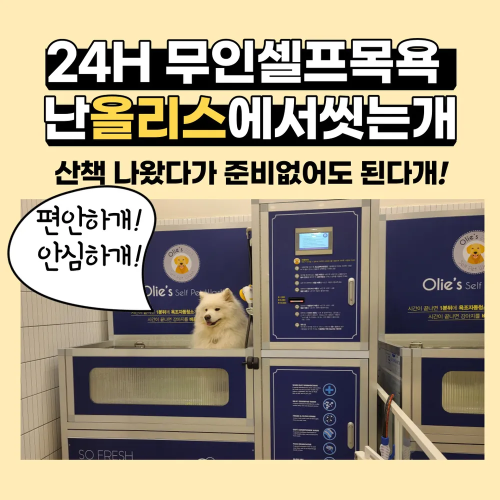 올리스 양산점 대표 이미지