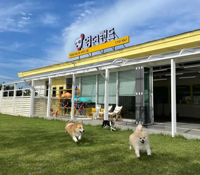 멍더랜드 대표 이미지