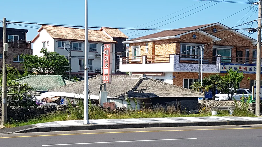 보라애견호텔 대표 이미지