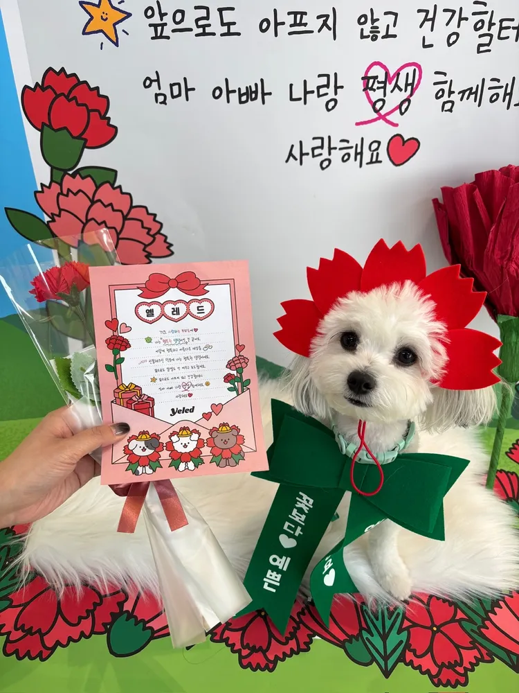 옐레드 노원상계점 대표 이미지