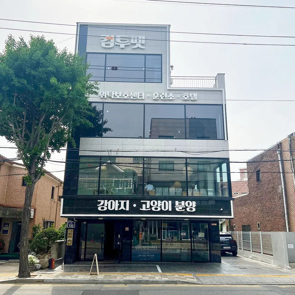 컴투펫위탁보호센터 수원점 대표 이미지