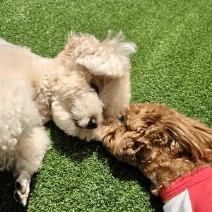 프라독 수원인계본점 대표 이미지