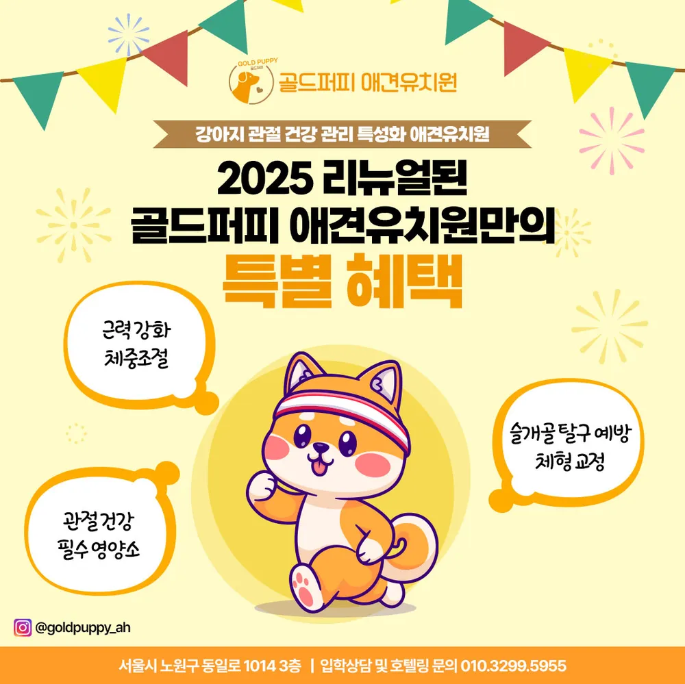 골드퍼피 애견유치원 대표 이미지