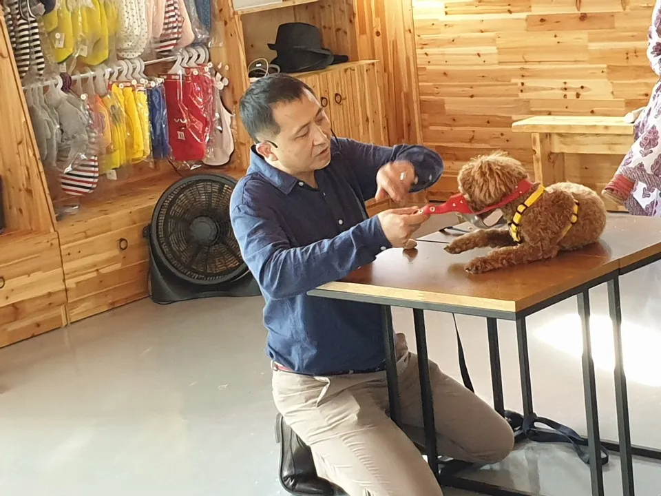 한국애니멀전문가협회 대표 이미지