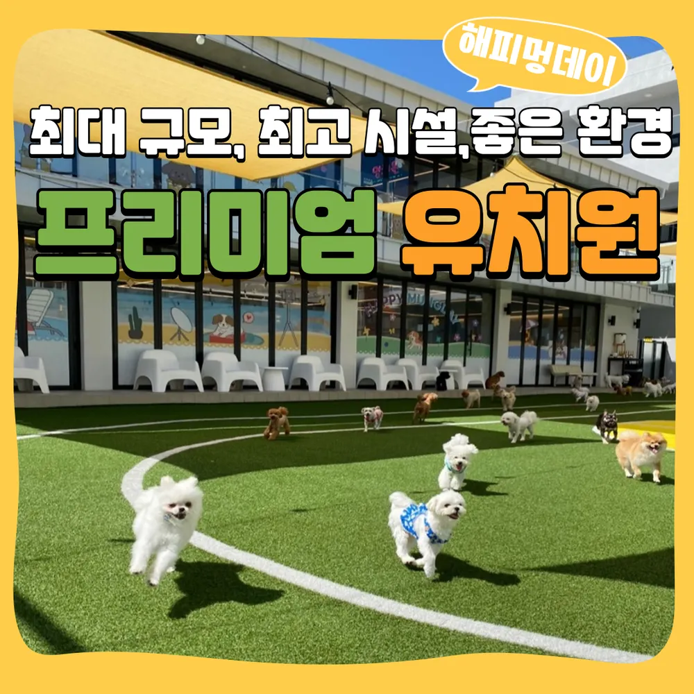 해피멍데이 강아지유치원 애견유치원 대표 이미지