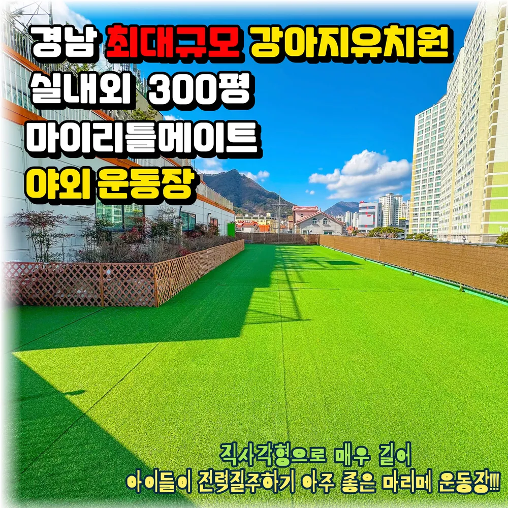 마이리틀메이트 대표 이미지