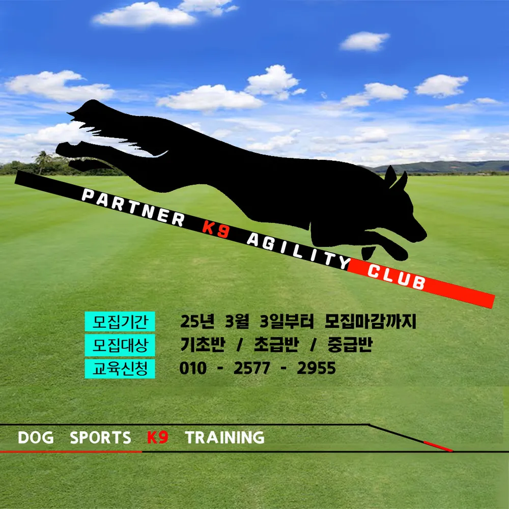 PARTNER K9 독 스포츠 클럽 대표 이미지