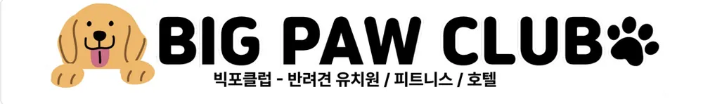 빅포클럽 대표 이미지