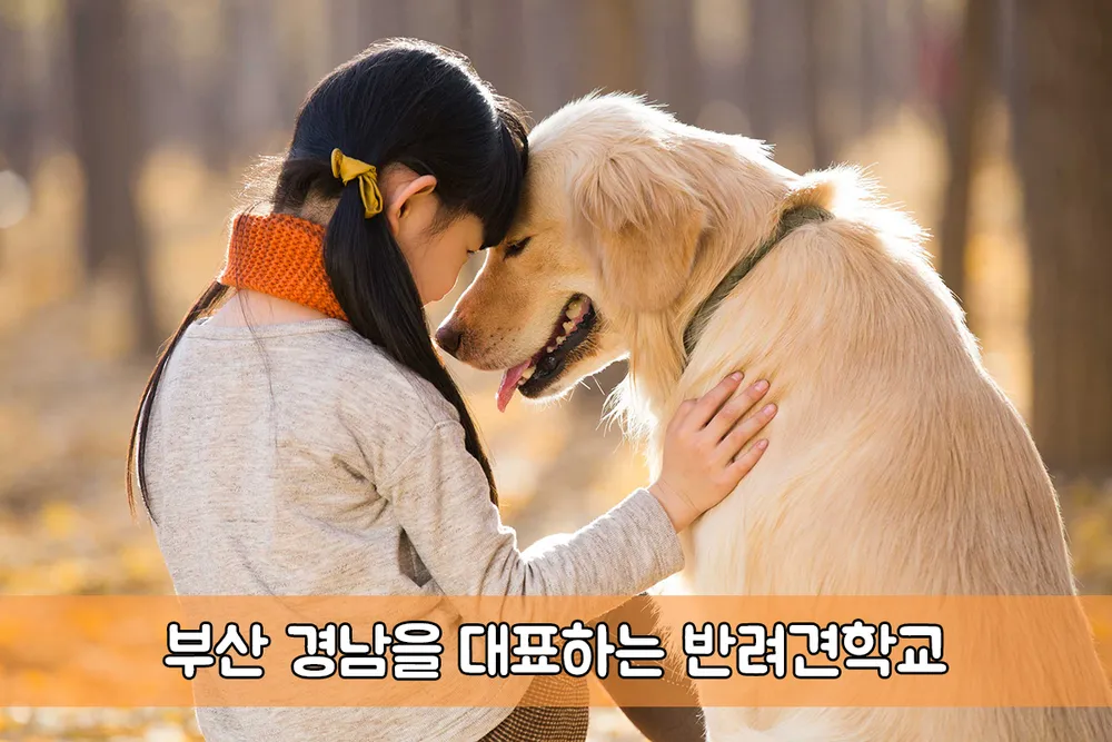 파트라슈반려견학교 부산광안리점 대표 이미지
