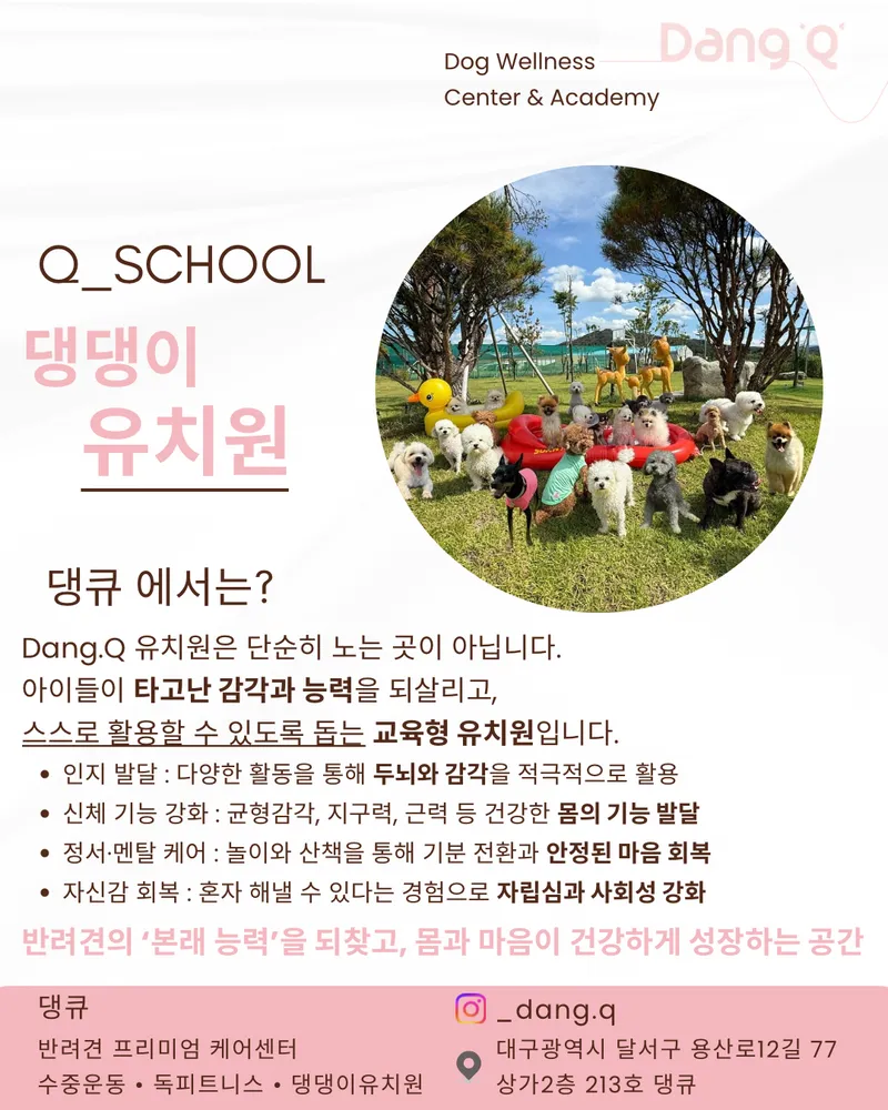 댕큐 대표 이미지