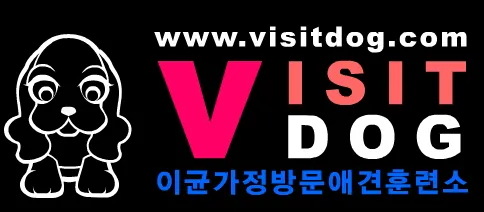 이균가정방문애견훈련소 대표 이미지