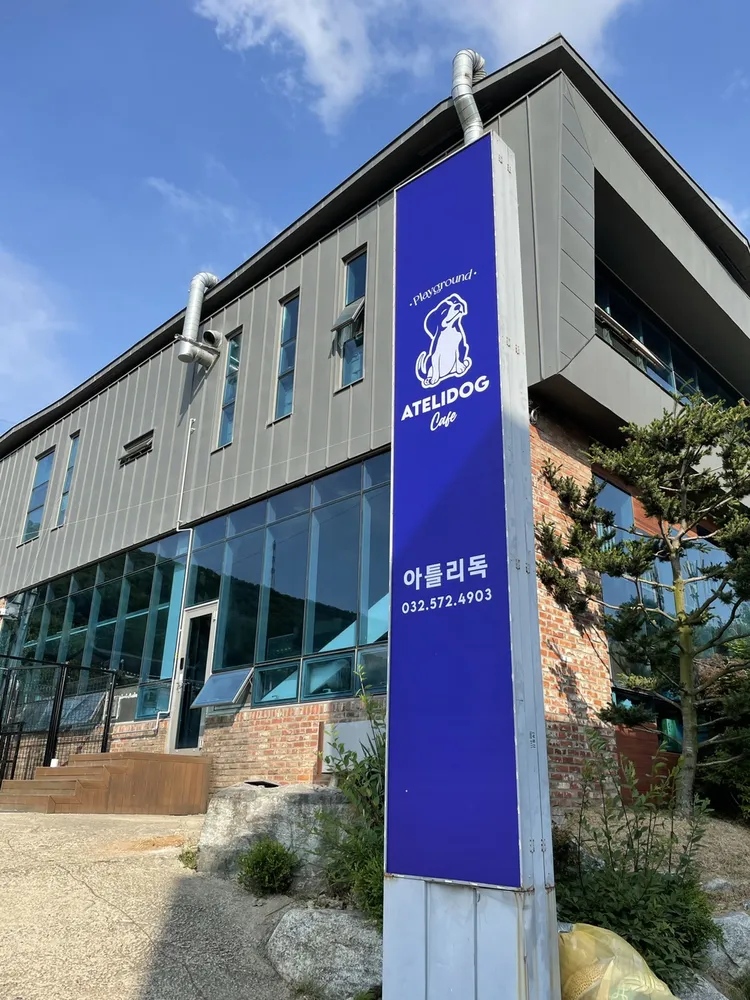아틀리독 반려견교육센터 대표 이미지