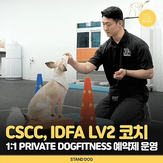 스탠독 애견유치원&독피트니스 대표 이미지