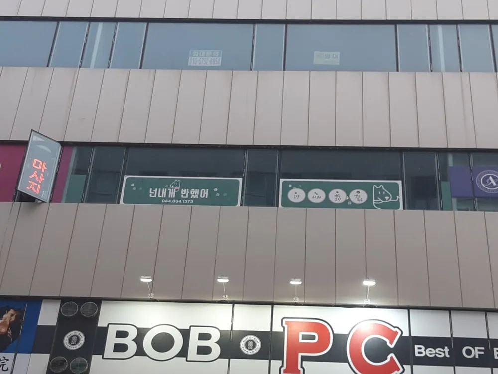 넌내개반했어 대표 이미지