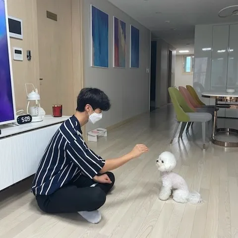 다견다감 방문교육 대표 이미지