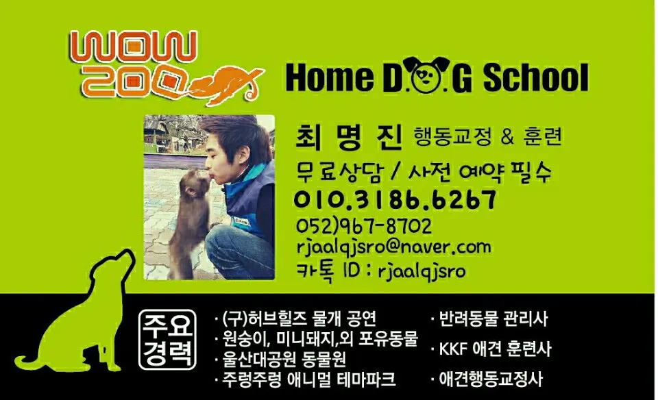 HomeDogSchool(홈독스쿨) 대표 이미지