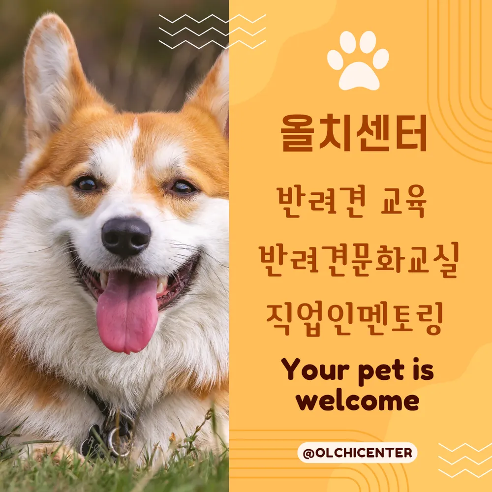 올치센터 대표 이미지