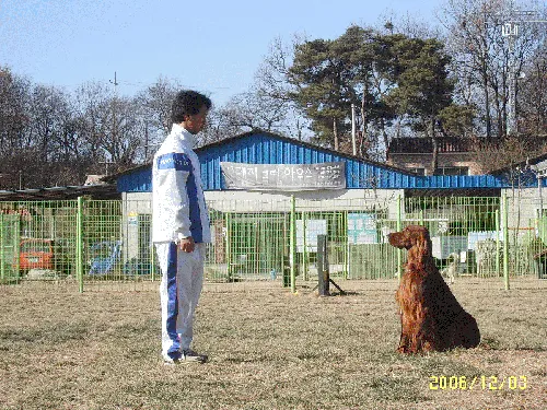 오렌지애견훈련소 대표 이미지