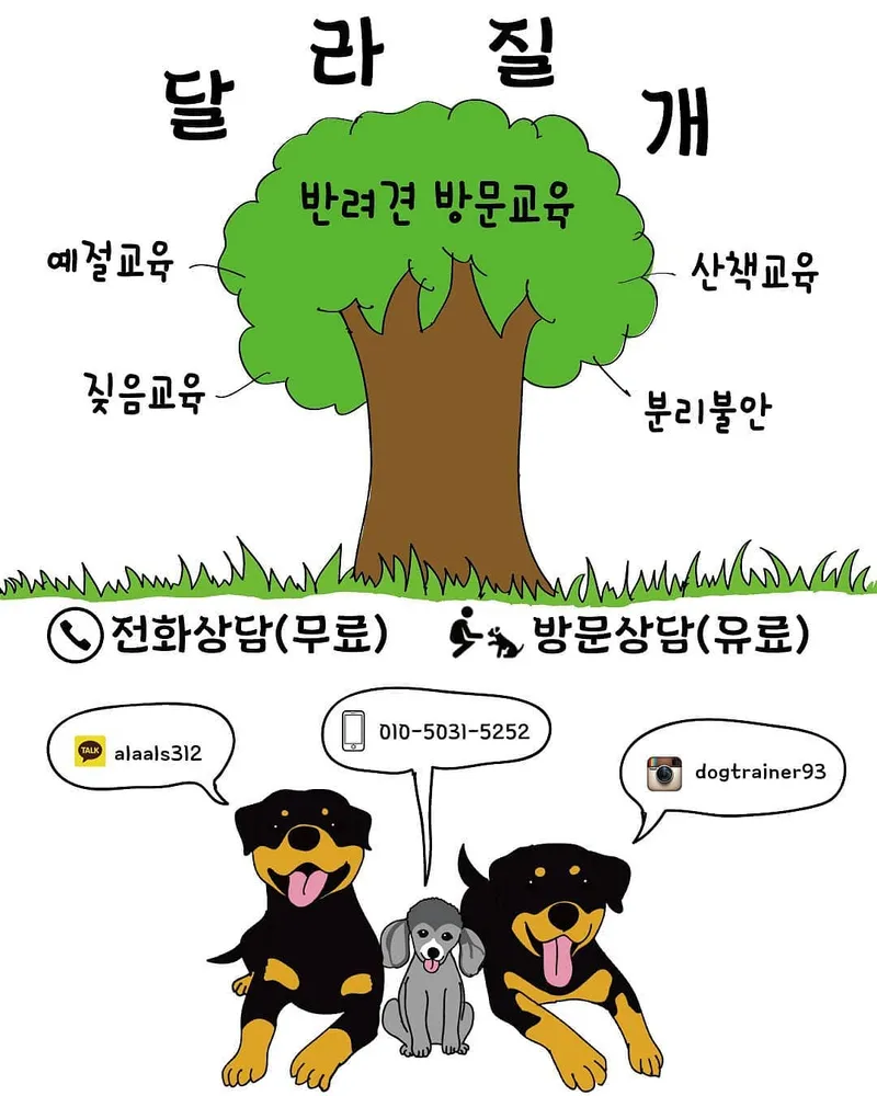 달라질개 애견 방문교육 대표 이미지