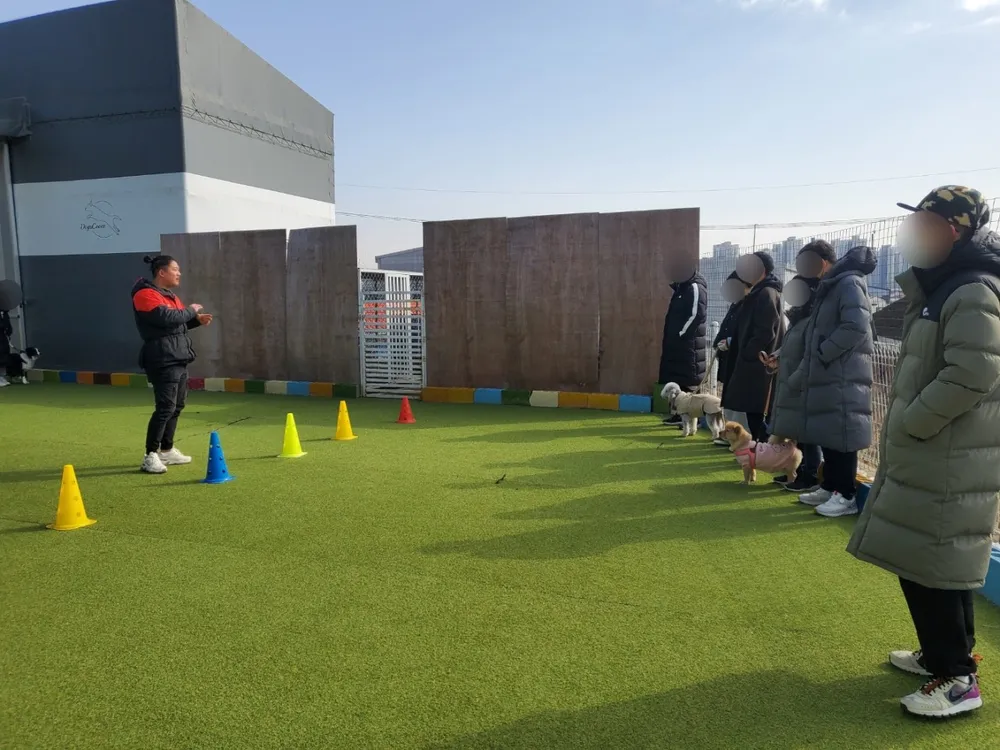 독스커버 대표 이미지