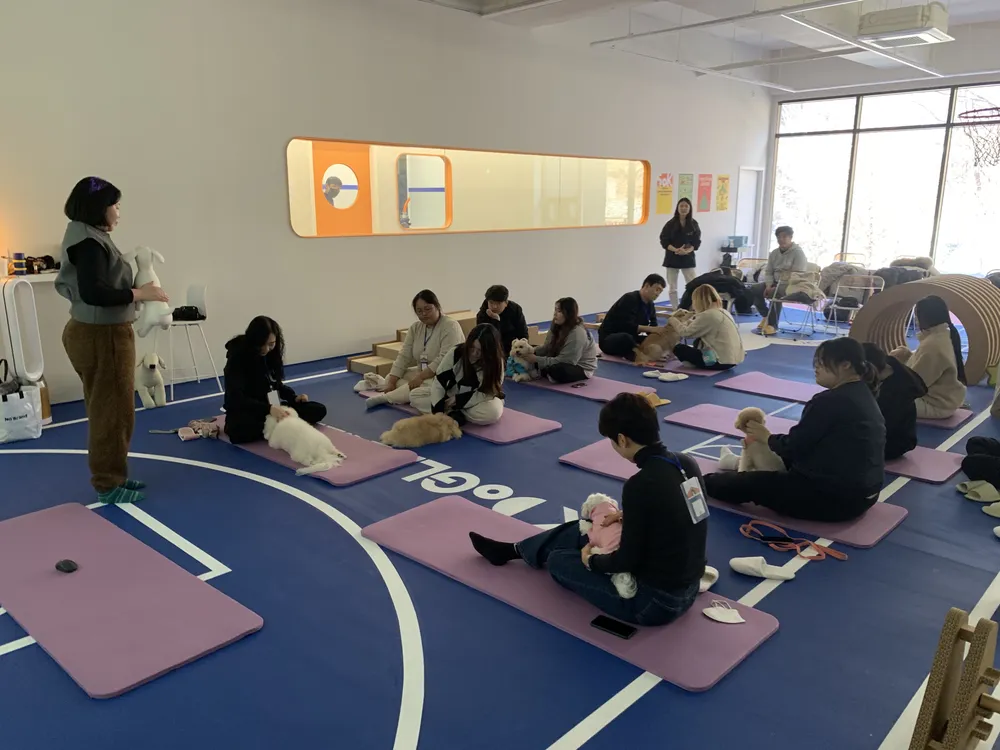 오십케이클래스 대표 이미지
