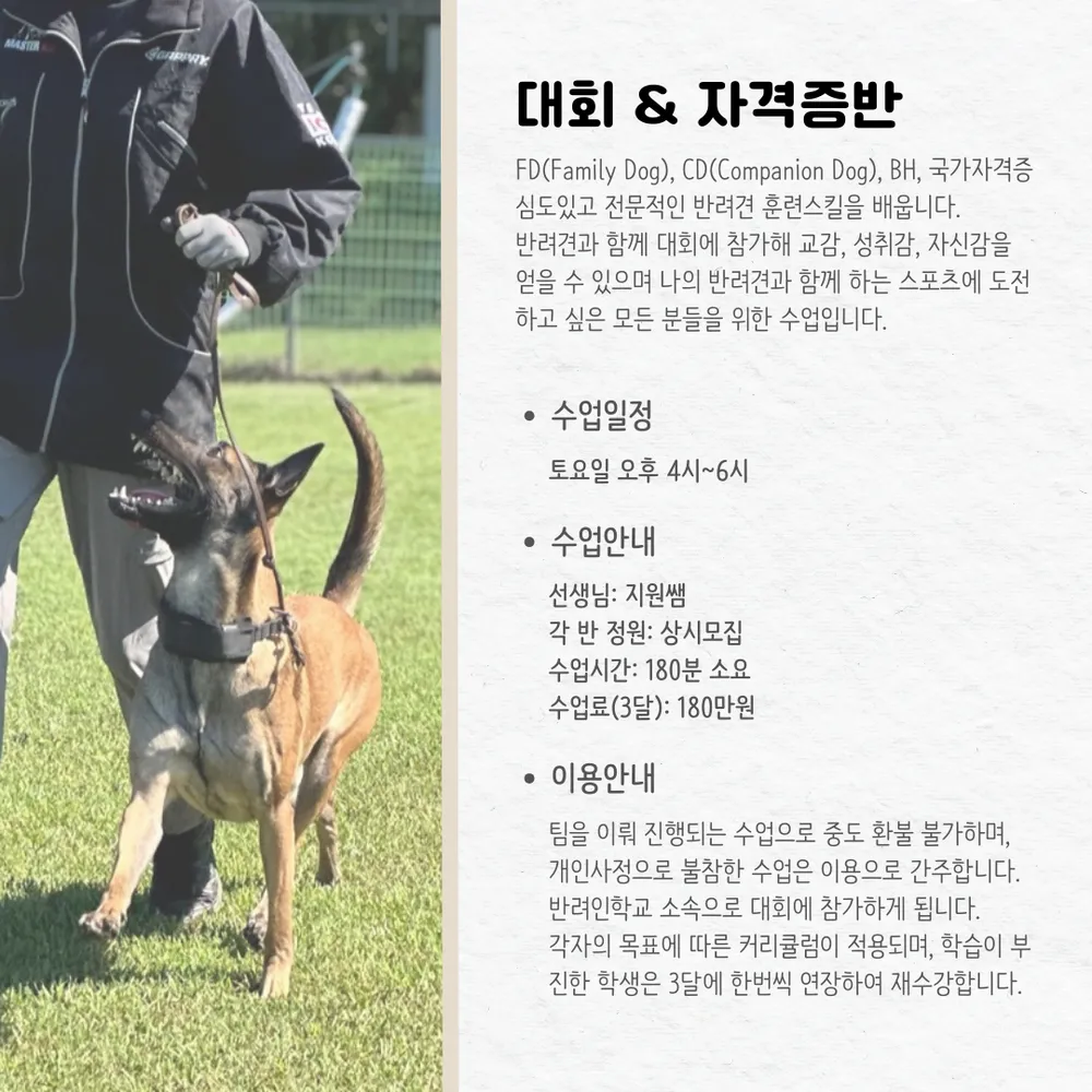 반려인학교 대표 이미지