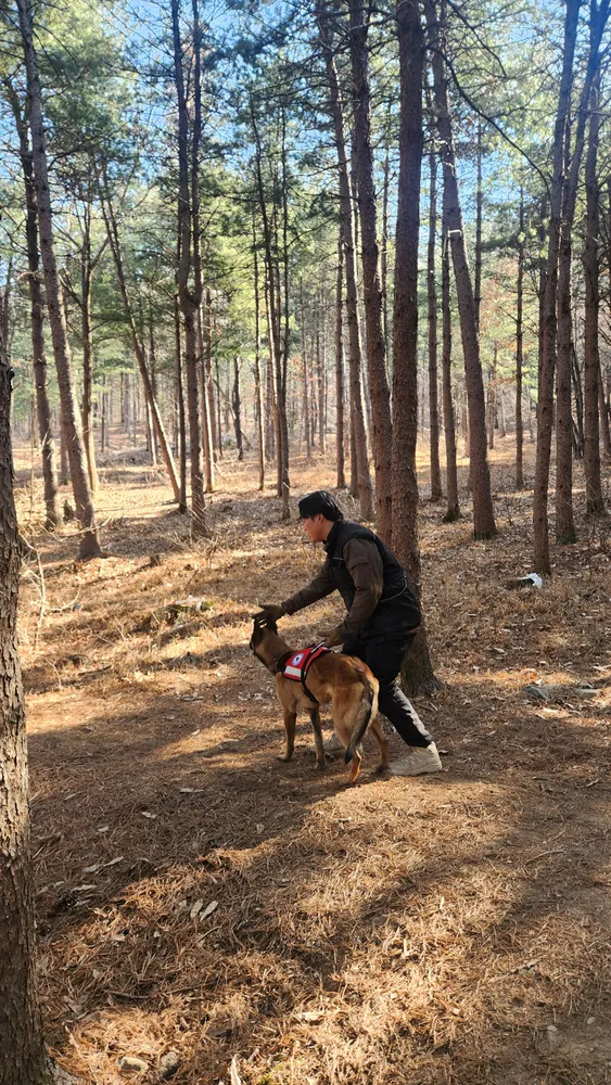 프리펫스 반려견 아카데미 안산캠퍼스 대표 이미지