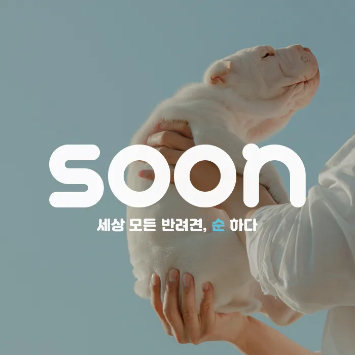 SOON, 순반려견교육기관&애견교육유치원&강아지훈련 대표 이미지