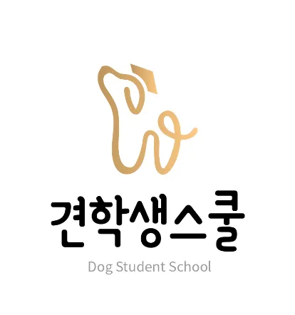 견학생스쿨 강아지교육 & 애견유치원 시흥배곧본점 대표 이미지