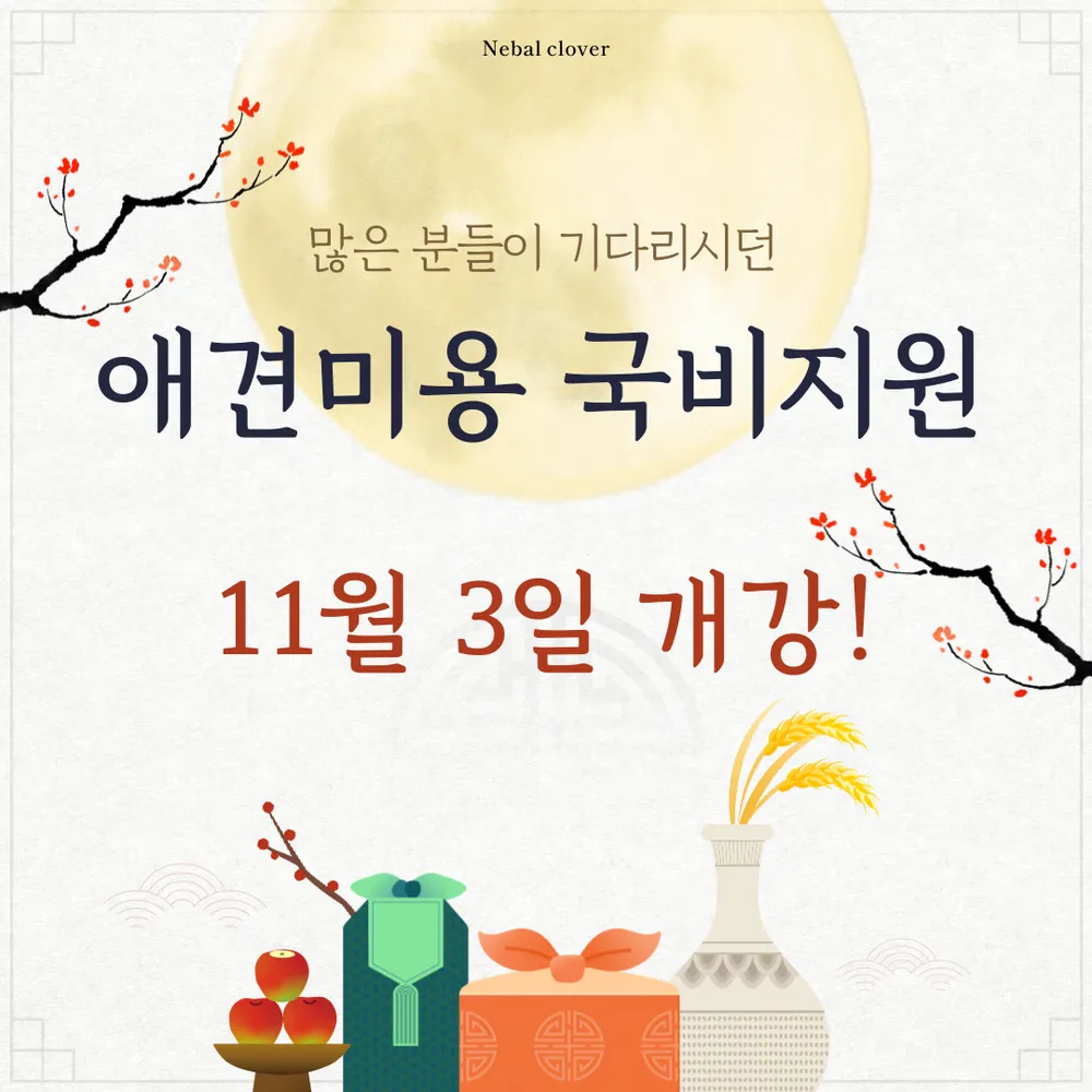 네발클로버애견미용학원 대표 이미지